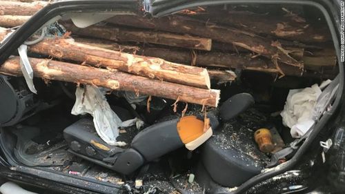 Driver survives after logs smash through his car windscreen