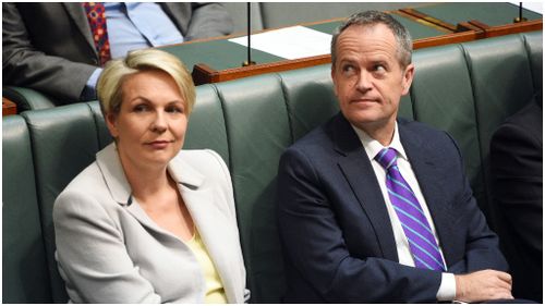 Deputy Leader of the Opposition Tanya Plibersek and Leader of the Opposition Bill Shorten after introducing a same sex marriage bill in the House of Representatives. (AAP)