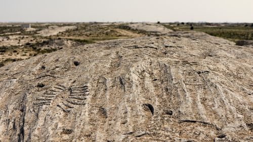 Hundreds of mysterious symbols are carved here — but nobody knows why - News Navi