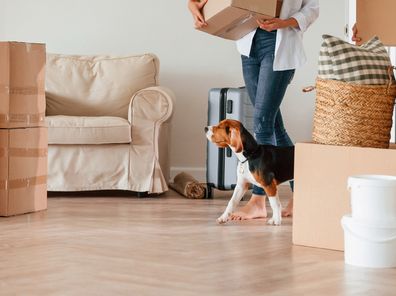 Walking forward with boxes. Young couple with dog are moving to new home.