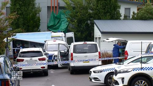 A woman has been stabbed to death in an alleged domestic violence-related attack in Newcastle.