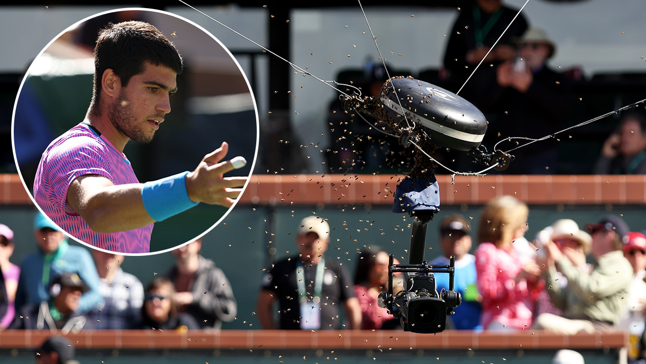 Carlos Alcaraz was forced to flee after bees swarmed his court at the Indian Wells Open.