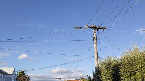 Telegraph Pole with Cable Lines in a Australian suburb.