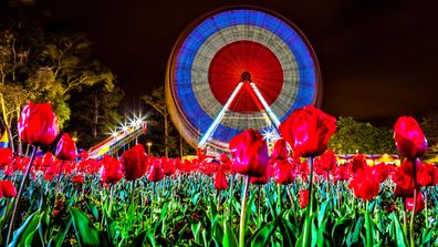 Canberra-Floriade-festival_nightfest