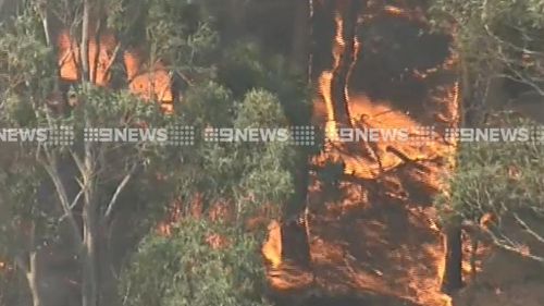 The fire is burning towards Lancefield. (9NEWS)