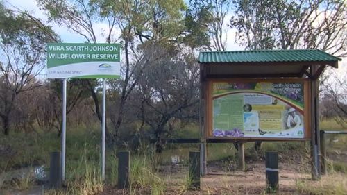 Police believe 55 greyhounds were taken to remote Queensland bush before being killed