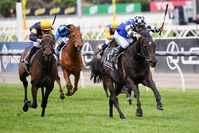 Gold Trip wins the Melbourne Cup