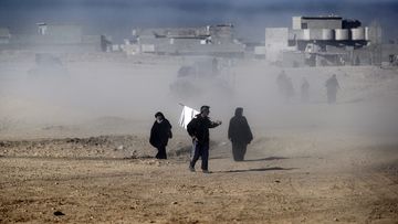 Iraqis fleeing their neighbourhoods to safer locations, as ISIS group fighters clash with government forces, in a northeastern district of the city of Mosul on November 24, 2016. (AFP)