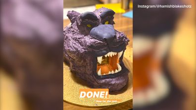 Hamish Blake cake 2020