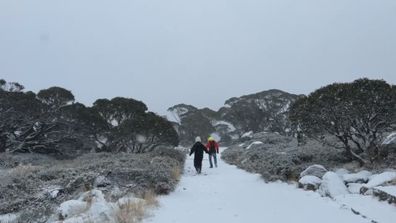 Nearly 100km/hr winds batter NSW as another polar blast set to hit - 9News