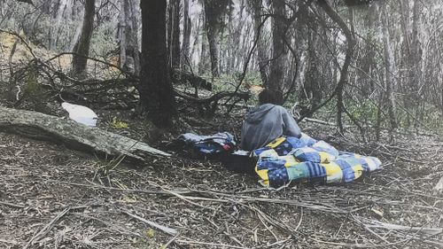 A six-year-old missing boy and his mother, accused of taking him from his school's playground, were found camping in the Tallaganda National Park.