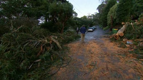 The strongest wind gust was recorded as 158km/h.