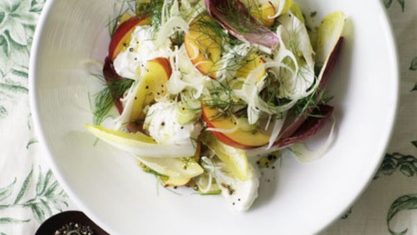 Buffalo mozzarella with nectarine, witlof and Champagne dressing