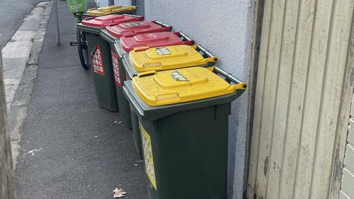 City of ï»¿Sydney Councillor ï»¿Adam Worling has moved a bold motion after noticing dozens of bins left out on the footpath and street long after collection day. 