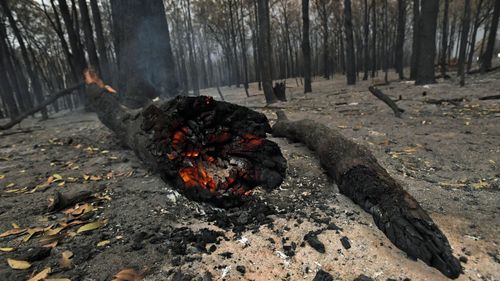 More than a million hectares have burnt in Victoria alone.