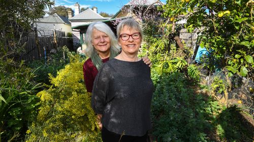 Greens senator makes moving tribute to climate scientist Penny Whetton