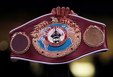 What is the weight limit for male professional boxers in the cruiserweight division?