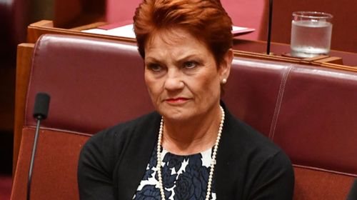 Hanson: plane wasn't a gift to her party