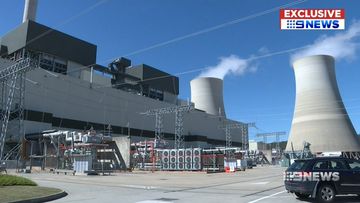 lighting the way: an exclusive look inside mt piper power station