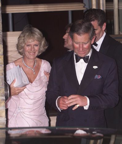 Princess Diana Wouldn't Wear Chanel Logo After Divorce from Prince Charles  Camilla Affair