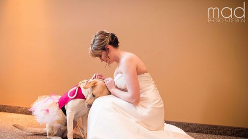 US bride’s service dog in a tutu walks her down the aisle