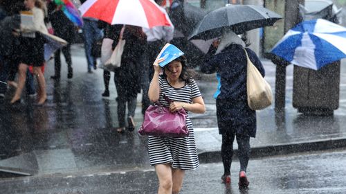Bureau makes rain forecasts crystal clear