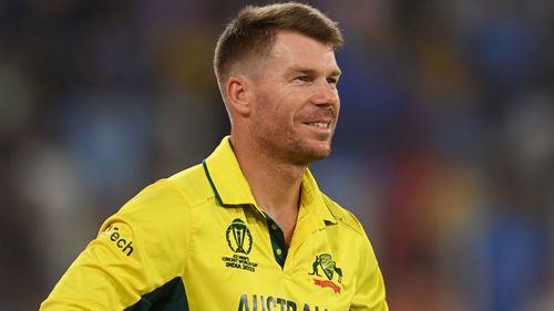 David Warner dell'Australia.