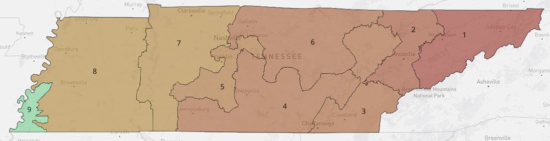 The current congressional map of Tennessee. In the bottom left corner is the only Democratic seat, anchored in black majority Memphis.