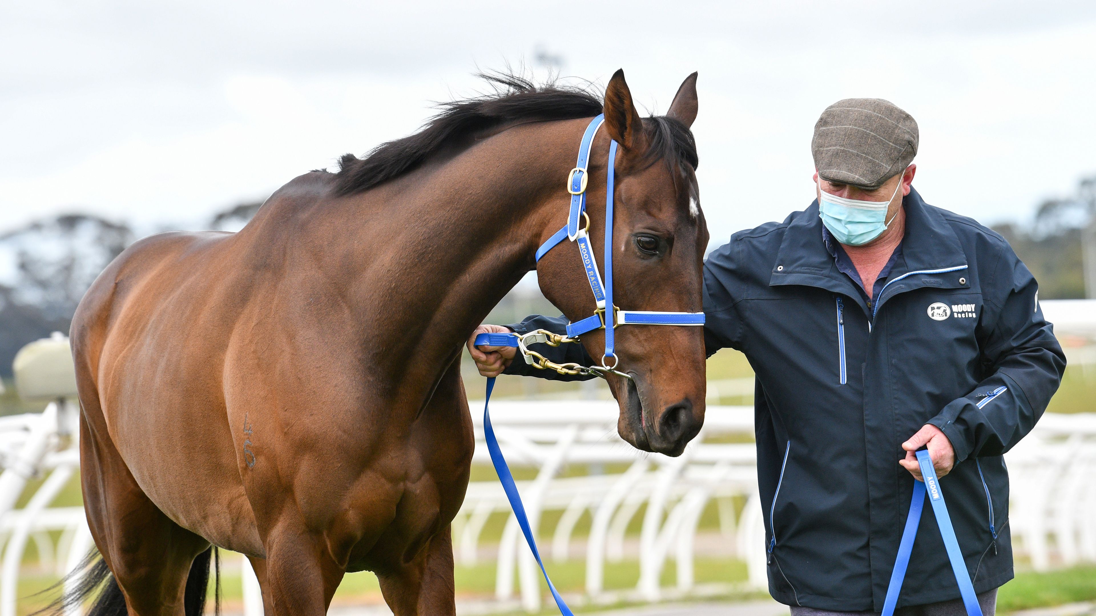 Reason behind Phar Lap-odds for favourite