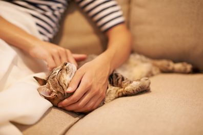 Cropped shot of a woman  showing her cat some affection on the sofa