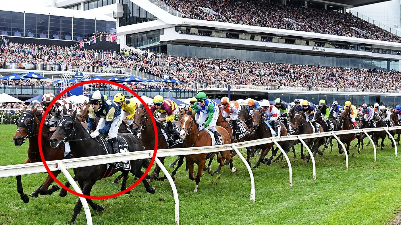 Interpretation leads the field round the bend during the Melbourne Cup.