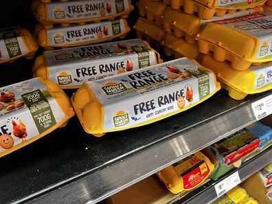 best supermarket eggs crowned canstar