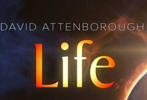 David Attenborough's Life