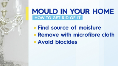 Tips for beating mould for good.