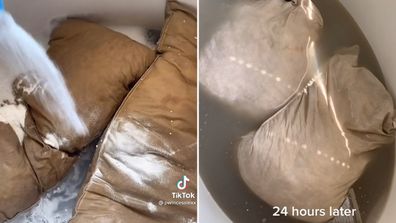 Woman strip washes husband's pillows on TikTok