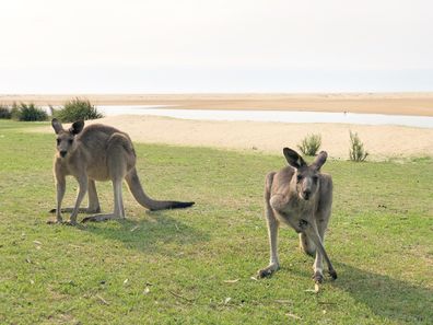 Met a couple of cute locals.