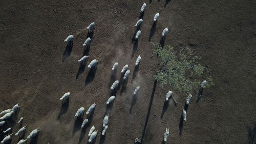 Australia is experiencing one of its worst droughts.