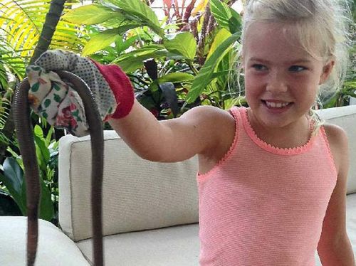 Two giant earthworms found in Sunshine Coast family's home