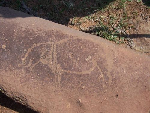 The carvings appear to be of a hippo, horse and rhino. Picture: University of the Free State