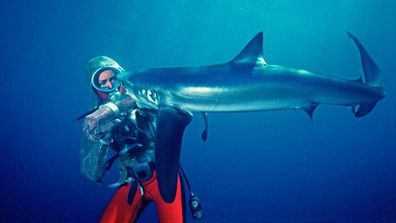 Valerie Taylor swimming with sharks diving conservationist