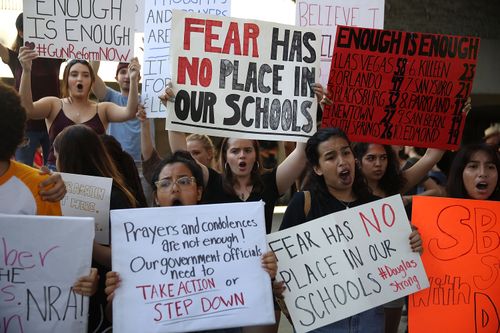 Protesters turned out in force to the Florida gun control rallies. 