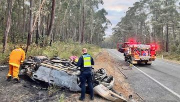 A car burst into flames after crashing at Cabbage Tree Creek in eastern Victoria.