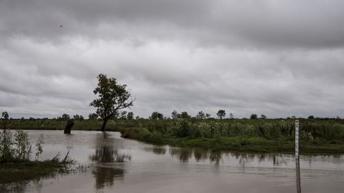 Millie Creek flooding, Millie, south of Moree. Northern Tablelands are expected to receive a month's rain in one day. 11th November 2021