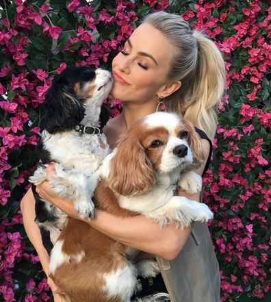 Julianne Hough shared the news of her dogs Lexi and Harley passing away. 