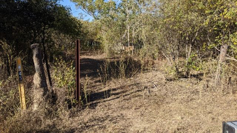 Rare $95k plot taken over by "the bush and land" could build your dream hideaway.