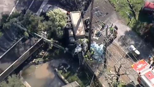 The crash felled powerlines. (9NEWS)