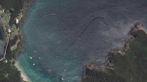 Satellite image of 'sea troll' haunting New Zealand bay debunked by science