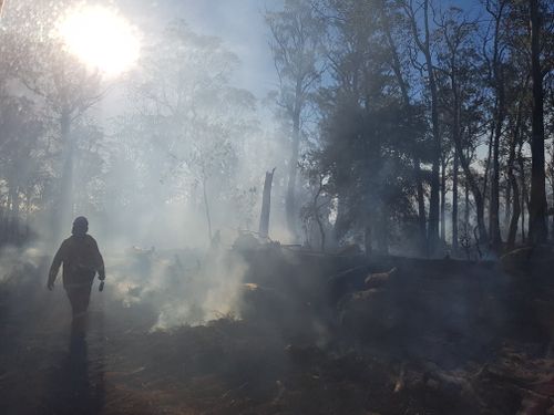 Hundreds of thousands of hectares of bushland have been destroyed as fire burns across the state of Tasmania.