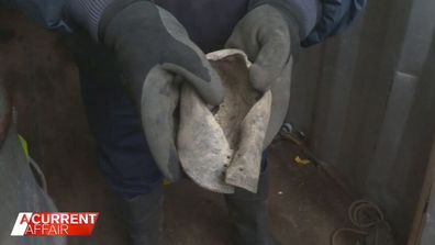 A leather shoe believed to be a child size six was found and is now being tested at a private forensic lab in Sydney.