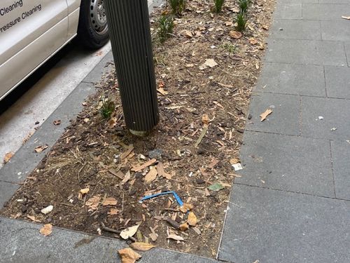 Aï»¿ City of Sydney councillor is fighting for more fencing around some of the city's green spaces to protect them from being damaged by pedestrians and pets.